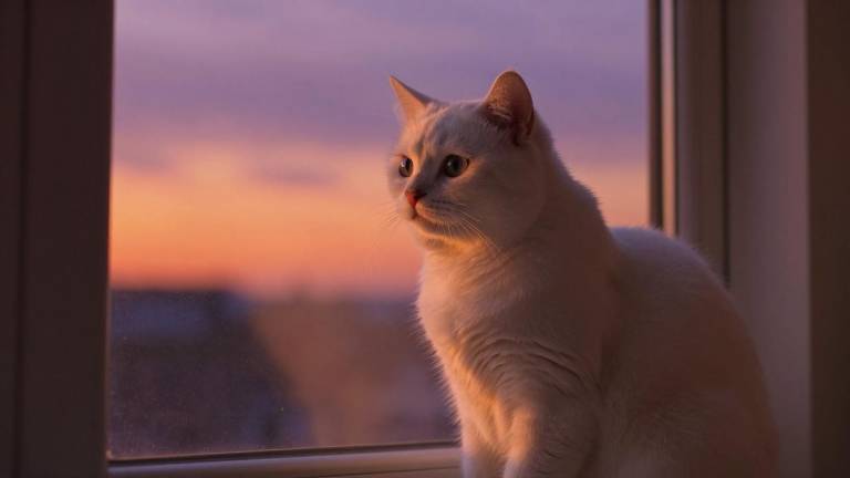 美泰（常州）控制系统官网第一张图