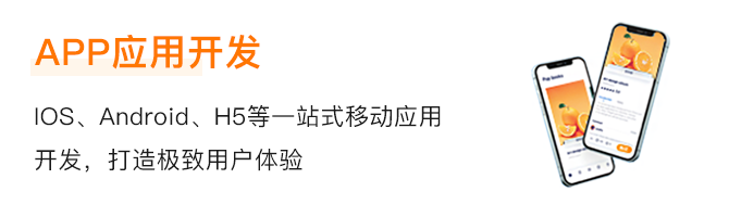 1680760249193303.png APP应用开发.png