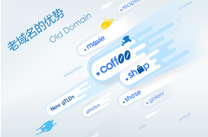 有利于SEO优化的域名应该如何去选择(图2)