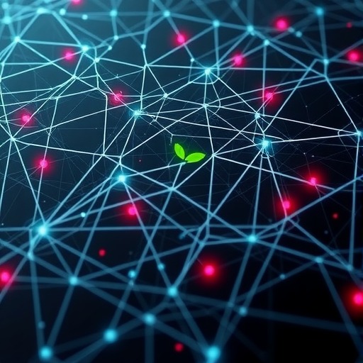 忽略这些问题网站优化能顺利进行吗？(图2)