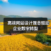 高端网站设计理念驱动企业数字转型(图2) 高端网站设计理念驱动企业数字转型(图2)