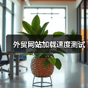 外贸网站加载速度测试(图3) 外贸网站加载速度测试(图3)
