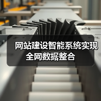 网站建设智能系统实现全网数据整合（图4）