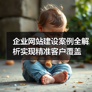 企业网站建设案例全解析实现精准客户覆盖（图4）