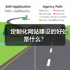 定制化网站建设的好处是什么？（图1）