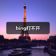 bing打不开(图4) bing打不开(图4)