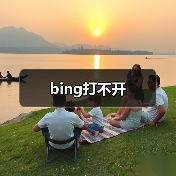 bing打不开(图2) bing打不开(图2)