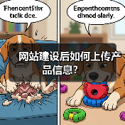 网站建设后如何上传产品信息?(图1) 网站建设后如何上传产品信息?(图1)