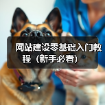网站建设零基础入门教程(新手必看)(图1) 网站建设零基础入门教程(新手必看)(图1)