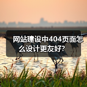 网站建设中404页面怎么设计更友好？（图2）
