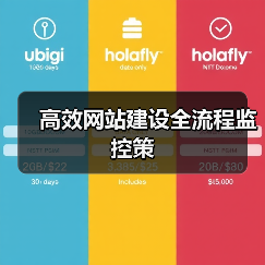 高效网站建设全流程监控策(图4) 高效网站建设全流程监控策(图4)