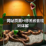 网站页面H标签嵌套规则详解(图3) 网站页面H标签嵌套规则详解(图3)