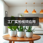 工厂实拍视频应用(图2) 工厂实拍视频应用(图2)