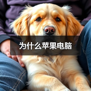 为什么苹果电脑(图2) 为什么苹果电脑(图2)