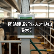 网站建设行业人才缺口多大?(图3) 网站建设行业人才缺口多大?(图3)