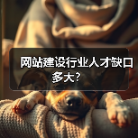 网站建设行业人才缺口多大?(图2) 网站建设行业人才缺口多大?(图2)