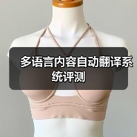 多语言内容自动翻译系统评测(图1) 多语言内容自动翻译系统评测(图1)