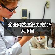 企业网站建设失败的5大原因(图2) 企业网站建设失败的5大原因(图2)