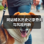 网站域名历史记录查询与风险判断(图2) 网站域名历史记录查询与风险判断(图2)