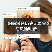 网站域名历史记录查询与风险判断(图4) 网站域名历史记录查询与风险判断(图4)