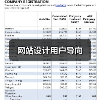 网站设计用户导向(图2) 网站设计用户导向(图2)