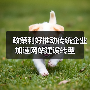 政策利好推动传统企业加速网站建设转型(图1) 政策利好推动传统企业加速网站建设转型(图1)