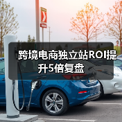 跨境电商独立站ROI提升5倍复盘（图3）