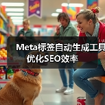 Meta标签自动生成工具优化SEO效率（图2）
