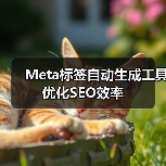 Meta标签自动生成工具优化SEO效率（图3）