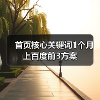 首页核心关键词1个月上百度前3方案（图1）