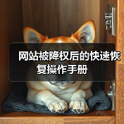 网站被降权后的快速恢复操作手册（图4）