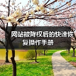 网站被降权后的快速恢复操作手册（图2）