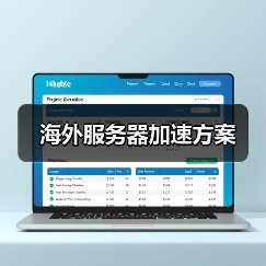 海外服务器加速方案(图4) 海外服务器加速方案(图4)