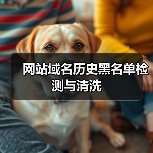 网站域名历史黑名单检测与清洗（图3）