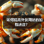 如何提高外贸网站的加载速度？（图3）