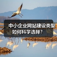 中小企业网站建设类型如何科学选择?(图4) 中小企业网站建设类型如何科学选择?(图4)