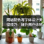 网站配色与字体设计关键技巧：提升用户体验（图1）