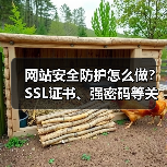 网站安全防护怎么做?SSL证书、强密码等关键步骤详解(图3) 网站安全防护怎么做?SSL证书、强密码等关键步骤详解(图3)