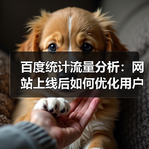 百度统计流量分析:网站上线后如何优化用户行为?(图3) 百度统计流量分析:网站上线后如何优化用户行为?(图3)