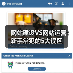 网站建设VS网站运营：新手常犯的5大误区（图3）