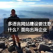 多语言网站建设要注意什么?面向出海企业(图3) 多语言网站建设要注意什么?面向出海企业(图3)