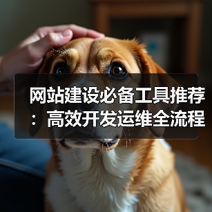 网站建设必备工具推荐：高效开发运维全流程指南（图4）
