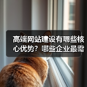 高端网站建设有哪些核心优势？哪些企业最需要？（图3）