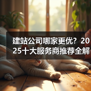 建站公司哪家更优?2025十大服务商推荐全解析(图3) 建站公司哪家更优?2025十大服务商推荐全解析(图3)