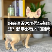 网站建设常用代码有哪些?新手必看入门指南(图3) 网站建设常用代码有哪些?新手必看入门指南(图3)