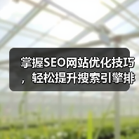 掌握SEO网站优化技巧,轻松提升搜索引擎排名(图4) 掌握SEO网站优化技巧,轻松提升搜索引擎排名(图4)