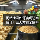 网站建设如何实现访客统计?三大方案全解析(图3) 网站建设如何实现访客统计?三大方案全解析(图3)