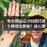 专业网站设计如何打造全网精准营销？核心策略全解析（图4）