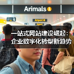 一站式网站建设崛起:企业数字化转型新趋势(图3) 一站式网站建设崛起:企业数字化转型新趋势(图3)