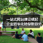 一站式网站建设崛起:企业数字化转型新趋势(图4) 一站式网站建设崛起:企业数字化转型新趋势(图4)